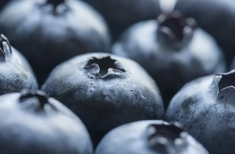 Antioxidantien und oxidativer Stress: Was dein Training wirklich braucht