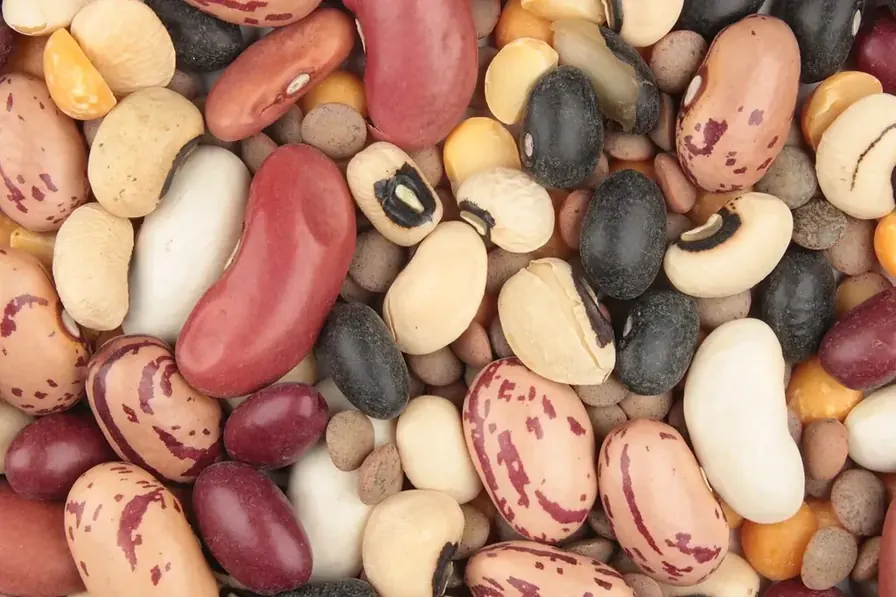 B-Vitamine: Was der B-Komplex wirklich für Energie und Nerven tut